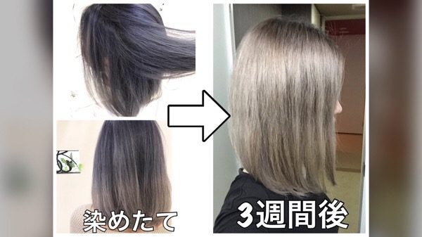 ブリーチ毛が褪色して３週間後 シルバーヘアにするにはヴァイオレットを入れておけ ヘアカラー Bex Journal