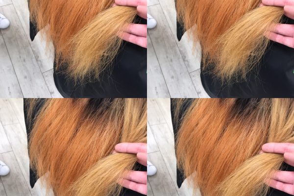 黒染め度合いによってはブリーチでもなかなか赤みが残りやすい場合も ヘアカラー Bex Journal