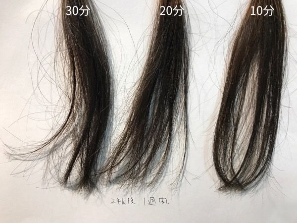 ヘアカラー翌日（24時間後）からシャンプー→1週間経過（7回シャンプー）した髪