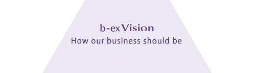 bex Vision How our business should be